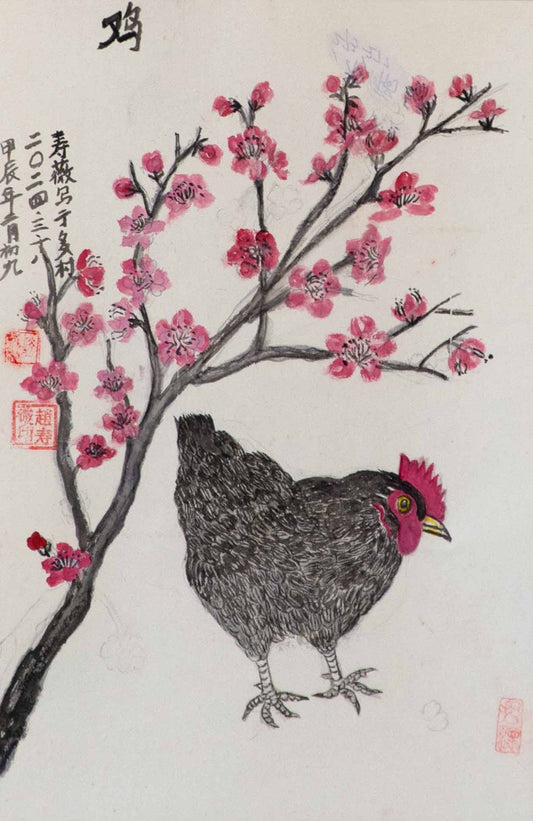 Chicken / Stephanie's Hen (2024)