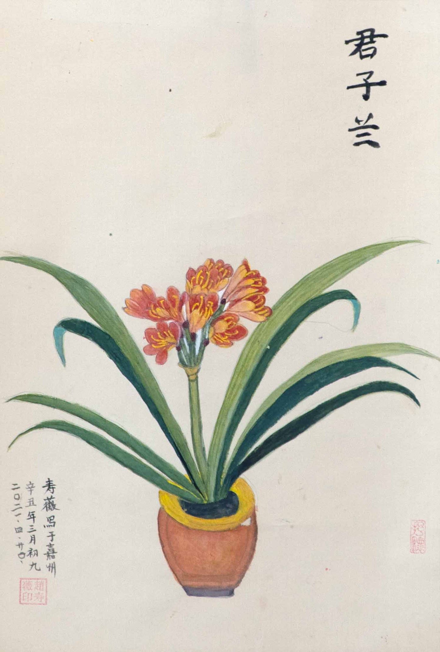 Clivia (2021)
