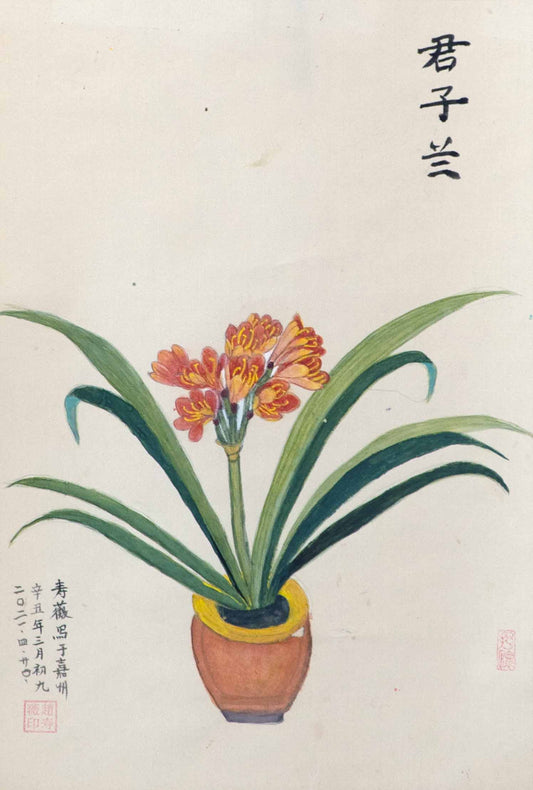 Clivia (2021)