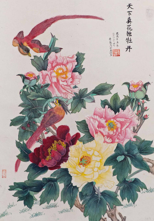 Peony is the World’s Most Powerful Flower (2018)