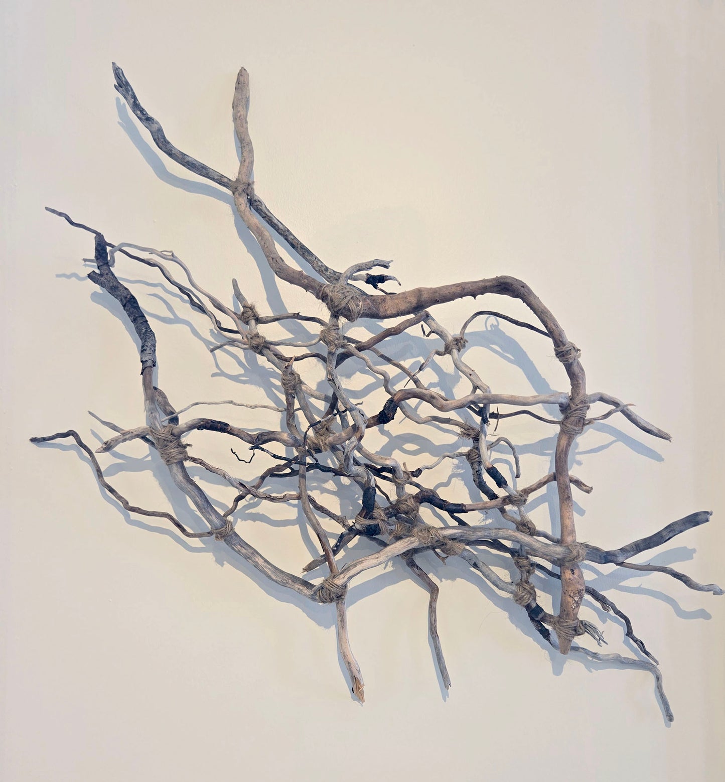 Roots of Connection (2023)