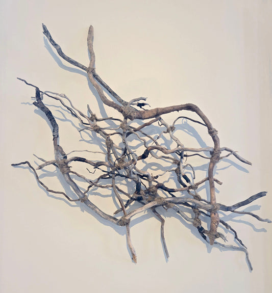 Roots of Connection (2023)