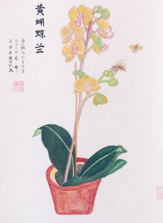 Yellow Orchid (2024)